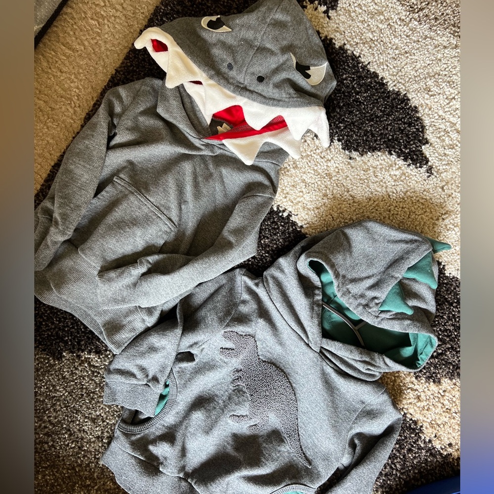 Boys animal Hoodies